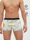 Мужские трусы боксеры / Aloha Hawaii