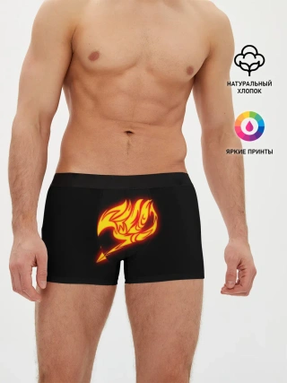 Мужские трусы боксеры / FAIRY TAILS NATSU DRAGNEEL