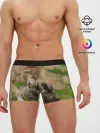Мужские трусы боксеры / Волки