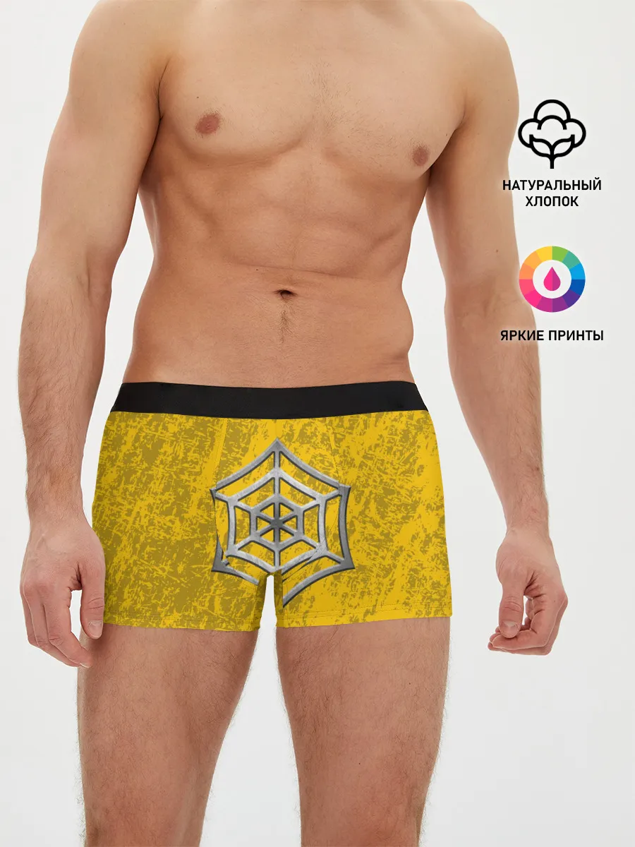 Мужские трусы боксеры / R6S JAGER