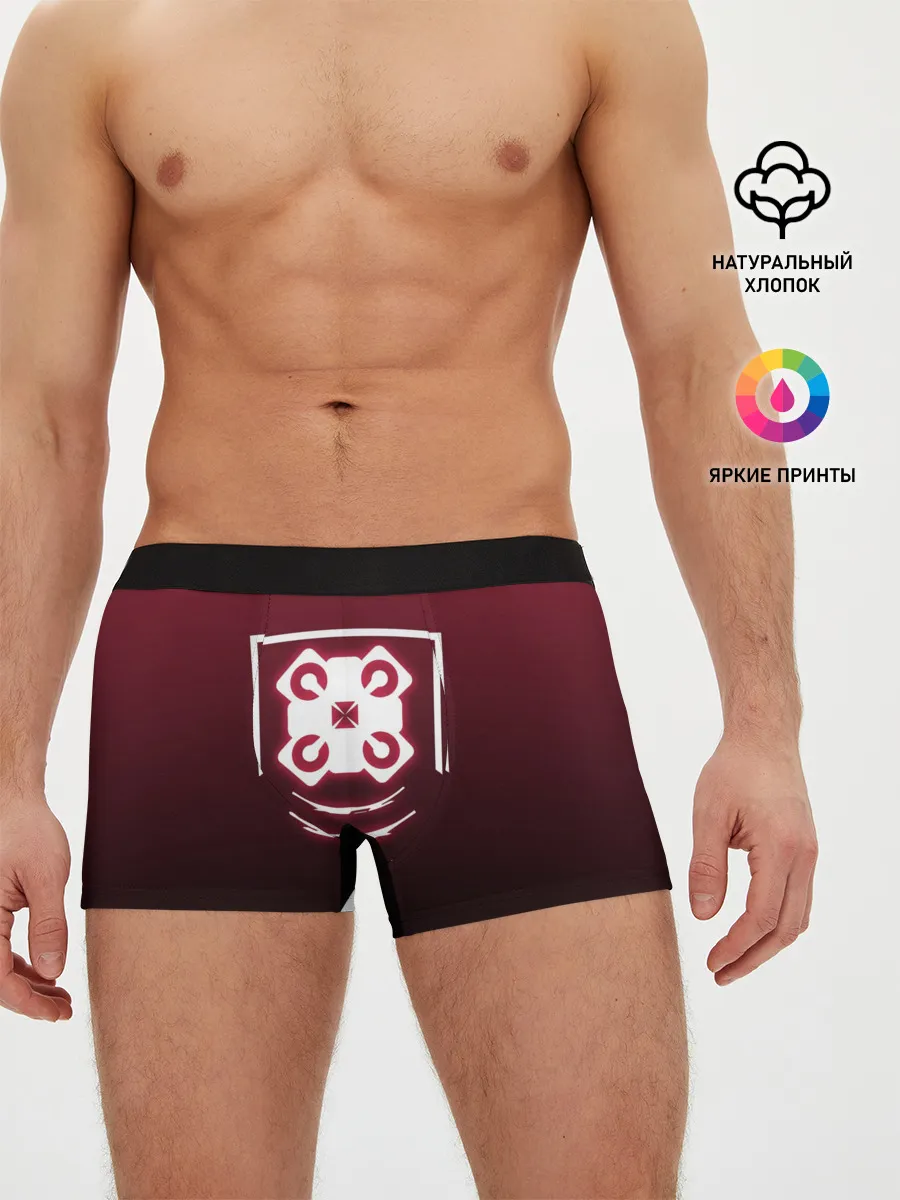 Мужские трусы боксеры / R6S ECHO