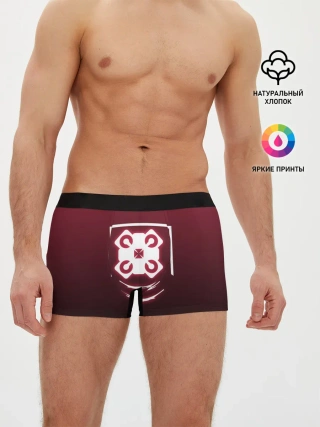 Мужские трусы боксеры / R6S ECHO