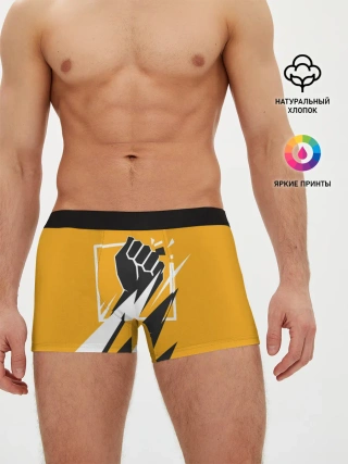 Мужские трусы боксеры / R6S FINKA