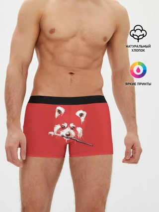 Мужские трусы боксеры / Красная панда