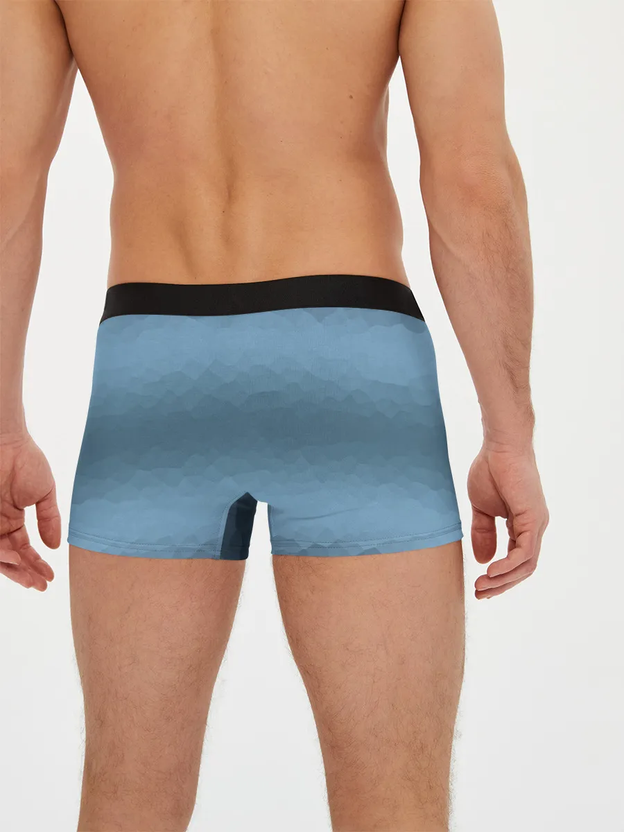 Мужские трусы боксеры / Frostpunk Logo