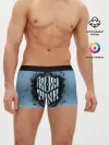 Мужские трусы боксеры / Frostpunk Logo