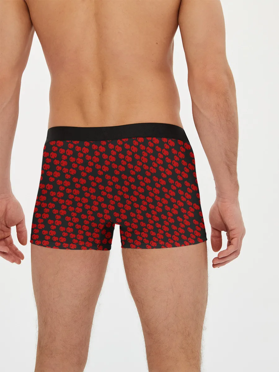 Мужские трусы боксеры / R6S FUZE