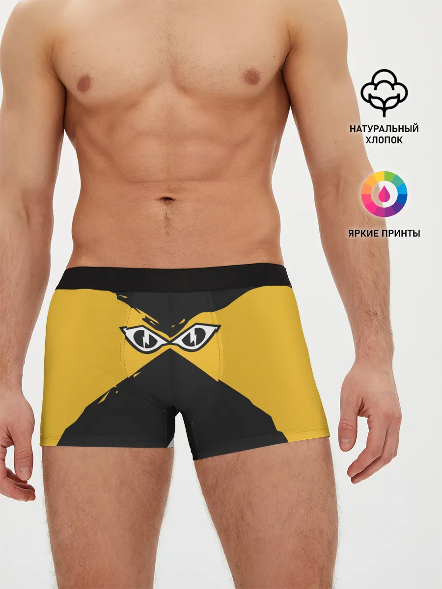 Мужские трусы боксеры / R6S IQ
