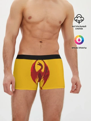 Мужские трусы боксеры / Красный Дракон
