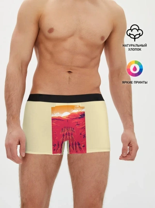 Мужские трусы боксеры / Nothing gets forgiven