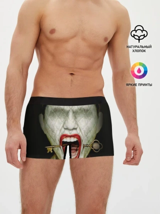 Мужские трусы боксеры / American Horror Story