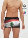 Мужские трусы боксеры / LEBANON