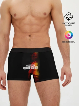 Мужские трусы боксеры / PUBG