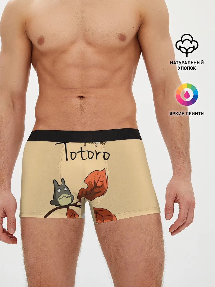 Мужские трусы боксеры / Tonari no Totoro