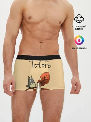 Мужские трусы боксеры / Tonari no Totoro