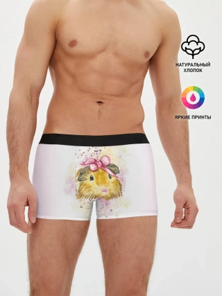 Мужские трусы боксеры / Морская свинка акварелью