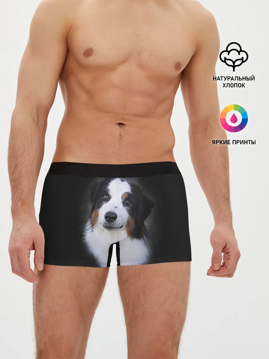 Мужские трусы боксеры / Собака