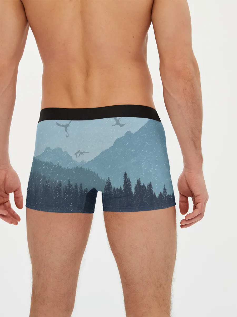 Мужские трусы боксеры / TES SKYRIM