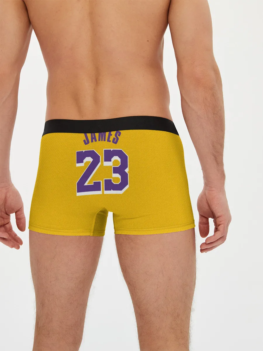 Мужские трусы боксеры / James 18-19 LA Lakers home