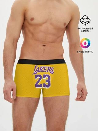 Мужские трусы боксеры / James 18-19 LA Lakers home