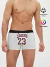Мужские трусы боксеры / James 18-19 third LA Lakers