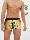 Мужские трусы боксеры / Darksiders LOGO