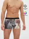 Мужские трусы боксеры / Волк