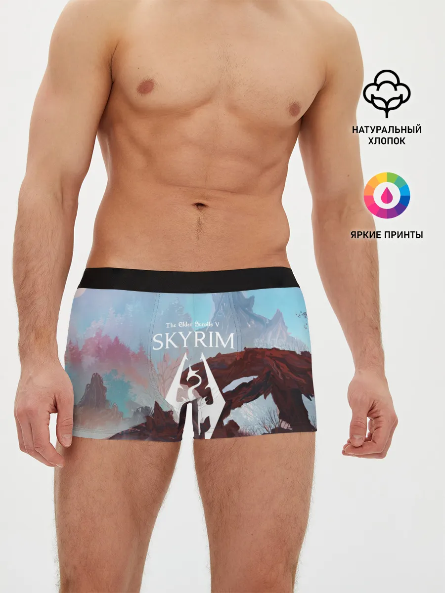 Мужские трусы боксеры / The Elder Scrolls SKYRIM