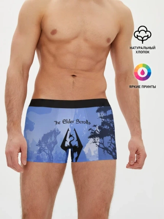 Мужские трусы боксеры / The Elder Scrolls