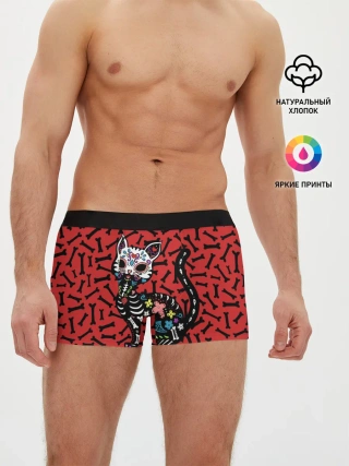 Мужские трусы боксеры / Мексиканская Сахарная Кошка