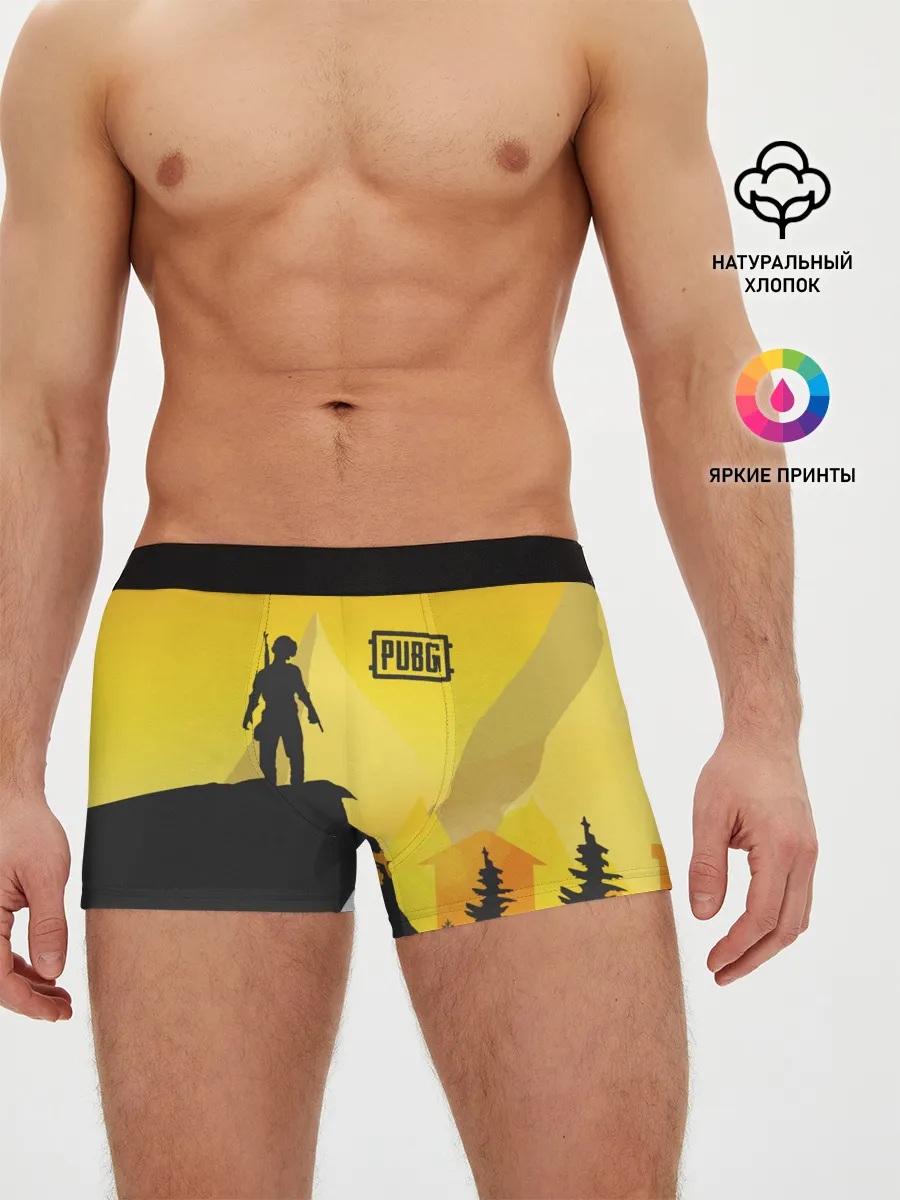 Мужские трусы боксеры / PUBG
