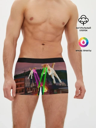 Мужские трусы боксеры / Кошачья Атака!