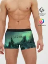 Мужские трусы боксеры / SKYRIM