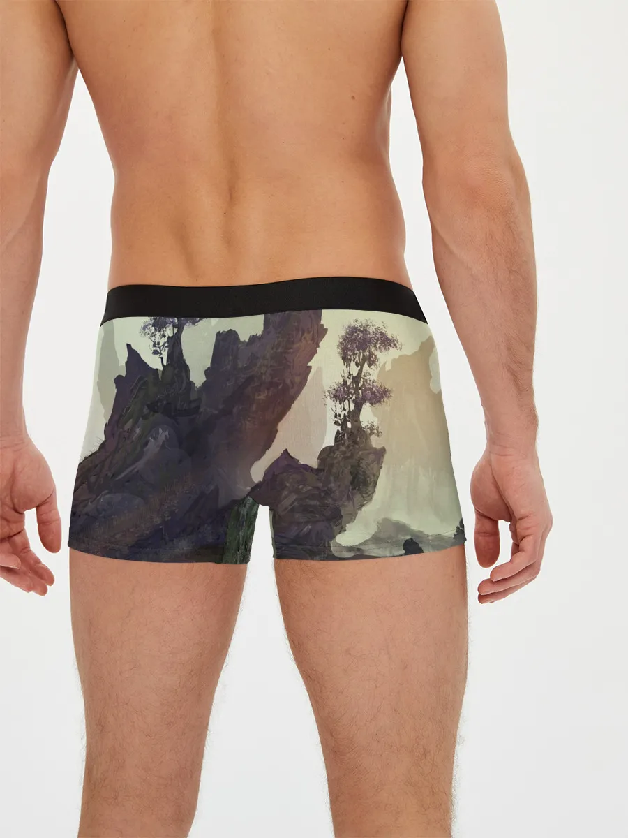 Мужские трусы боксеры / The Elder Scrolls