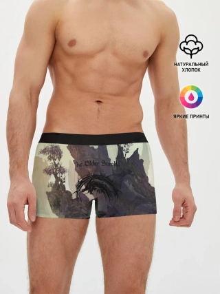 Мужские трусы боксеры / The Elder Scrolls