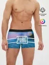 Мужские трусы боксеры / PUBG light blue