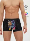 Мужские трусы боксеры / Super Space Fox