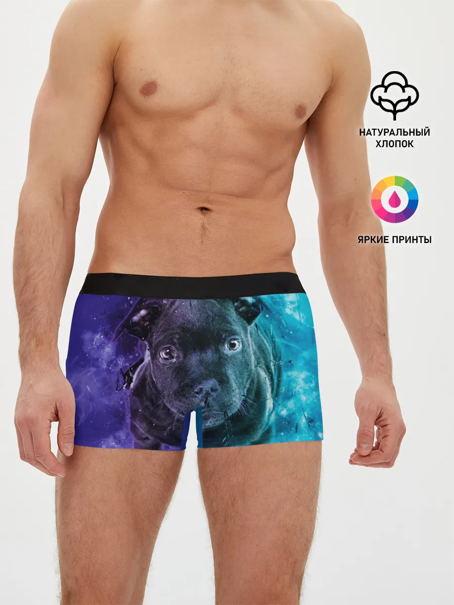 Мужские трусы боксеры / Милый пёс