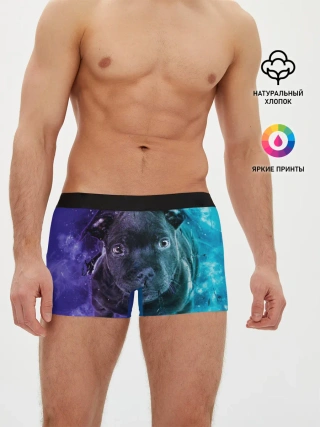 Мужские трусы боксеры / Милый пёс