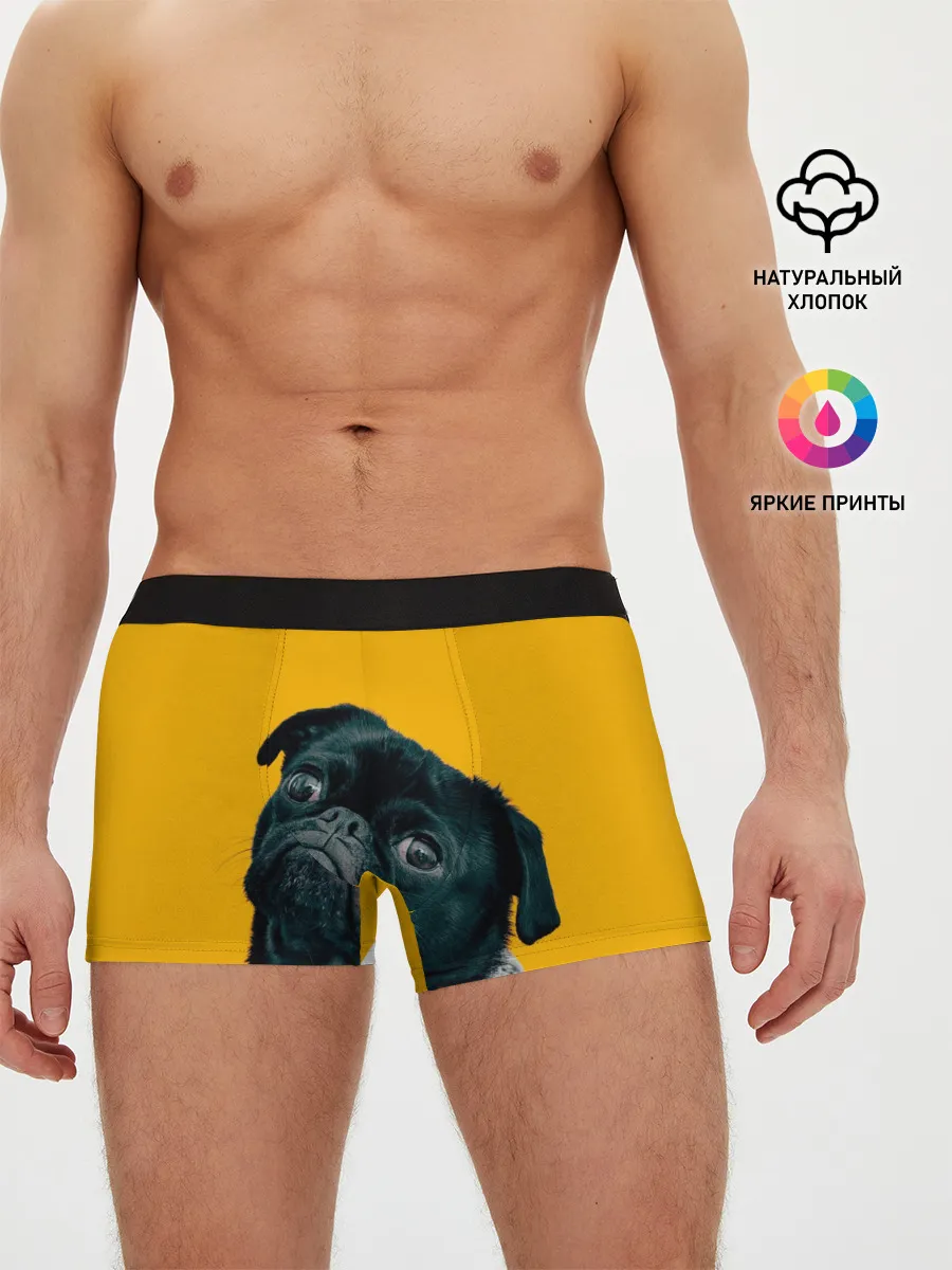 Мужские трусы боксеры / Бульдожка