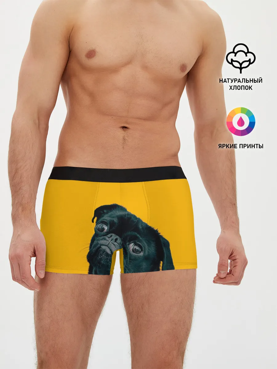 Мужские трусы боксеры / Бульдожка