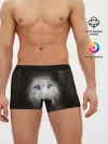 Мужские трусы боксеры / Голубоглазый волк