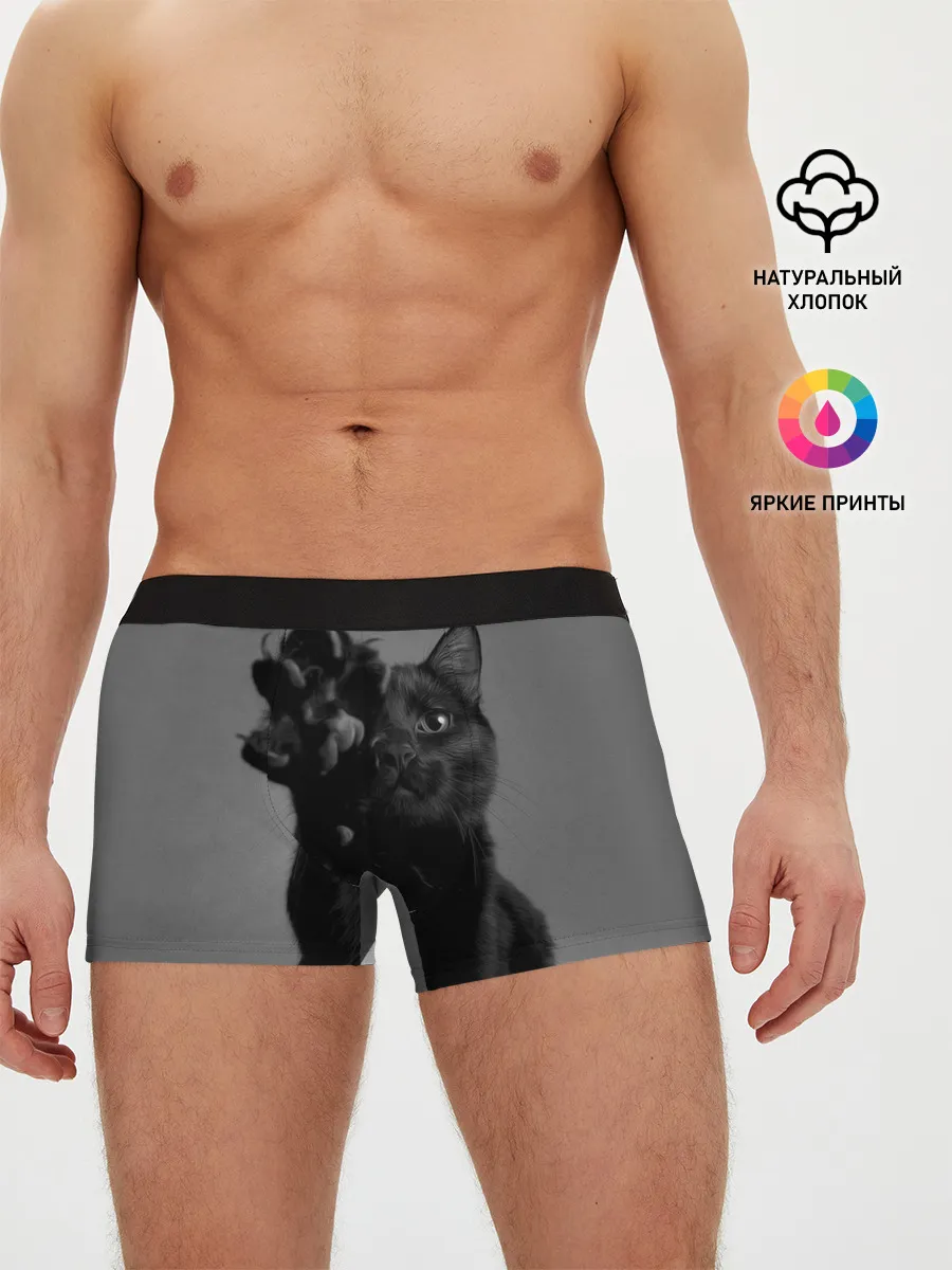 Мужские трусы боксеры / Котик