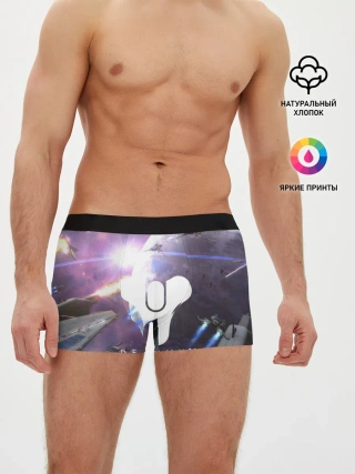 Мужские трусы боксеры / DESTINY 2