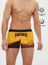 Мужские трусы боксеры / Fortnite Save the World