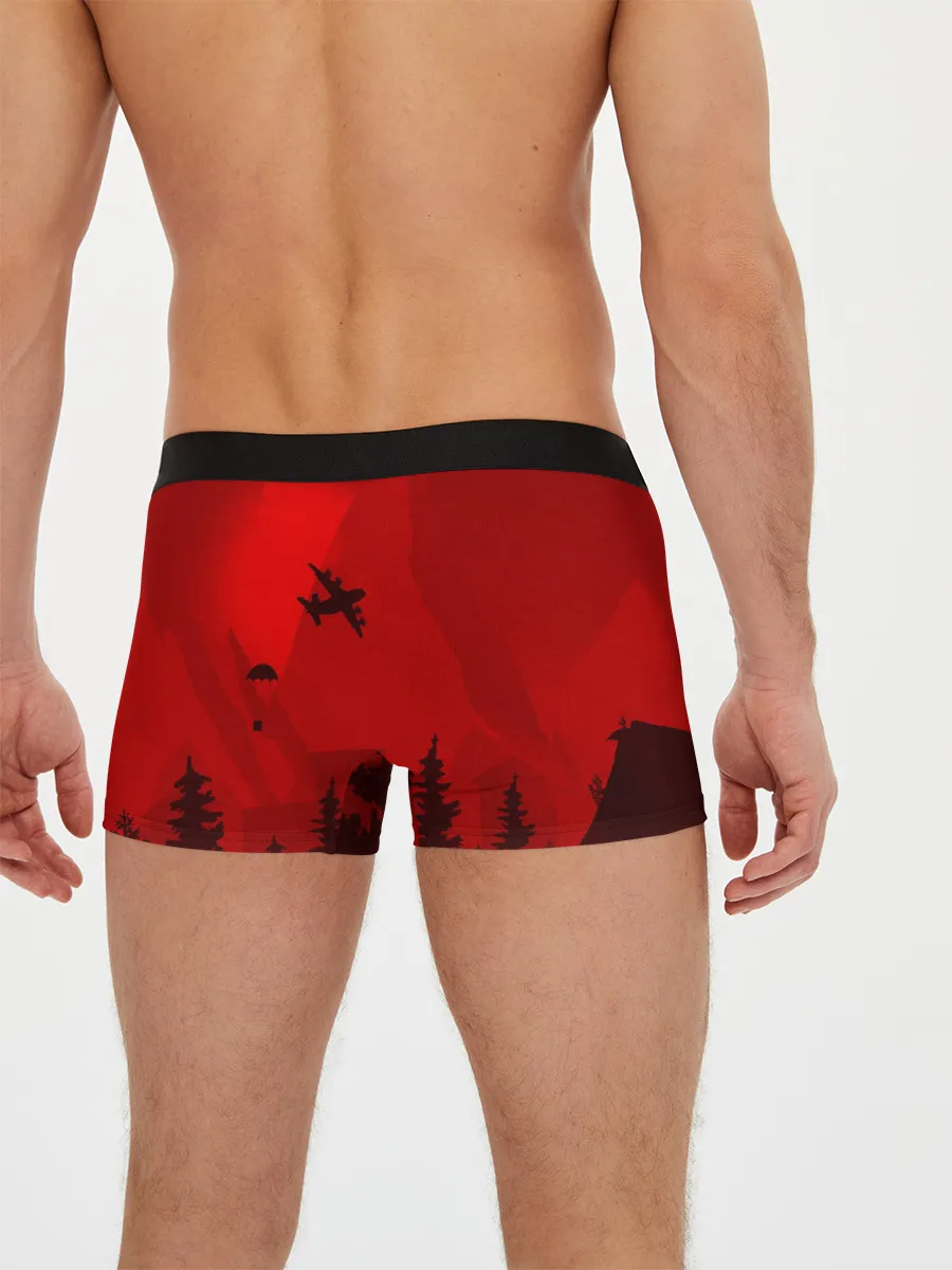 Мужские трусы боксеры / PUBG