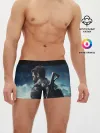 Мужские трусы боксеры / Just Cause 4