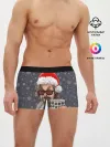 Мужские трусы боксеры / Лебовски Санта