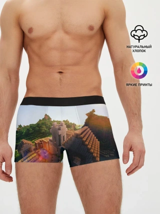 Мужские трусы боксеры / Minecraft