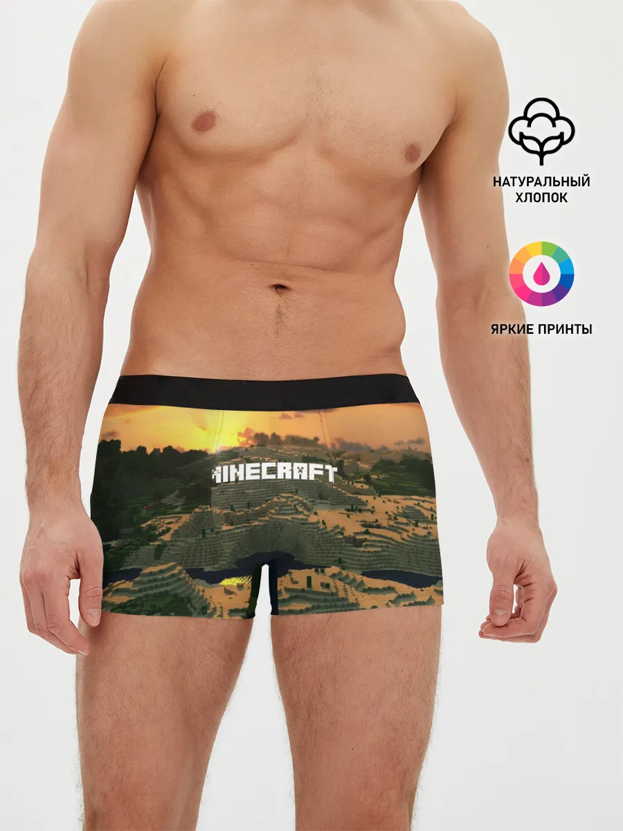 Мужские трусы боксеры / MINECRAFT